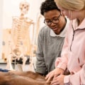 Why Hire A Massage Therapist In Springfield Who Has Medical Professional Networking Connections?